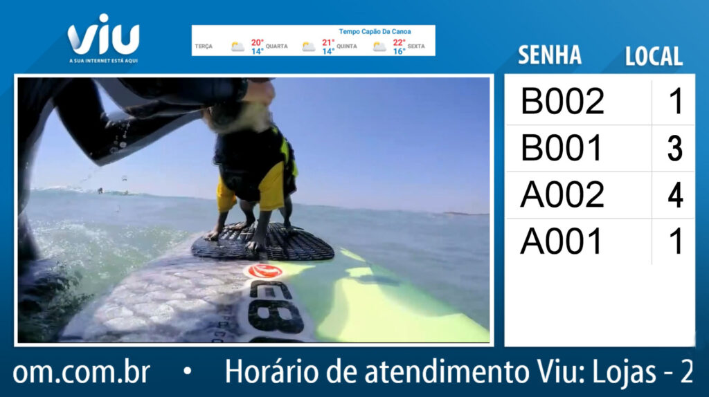 software_de_senhas - MarcaRS Technology